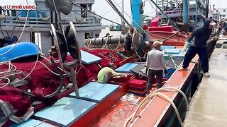 Лаги, Вьетнам: возвращение рыбацкого флота и свой морской день