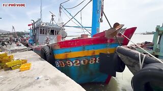 Лаги, Вьетнам: возвращение рыбацкого флота и свой морской день