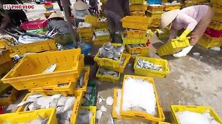Лаги, Вьетнам: возвращение рыбацкого флота и свой морской день