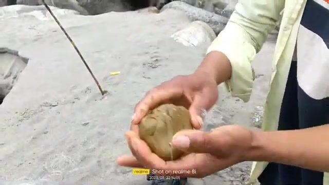 Приготовление необычной наживки и выбор пресноводного тура
