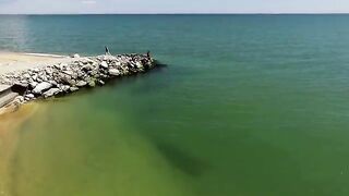 Махачкала, Дагестан: сазан и подготовка выезда на местные водоемы