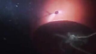 Охотское море: камчатский краб на промысле и туристический выход
