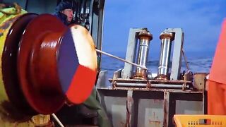 Охотское море: камчатский краб на промысле и туристический выход
