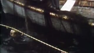 Лабрадор: продолжение морского дневника и план канадской рыбалки