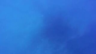 Восемнадцать дней под парусом вдоль побережья Мозамбика