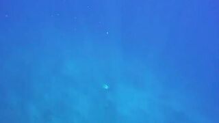 Восемнадцать дней под парусом вдоль побережья Мозамбика