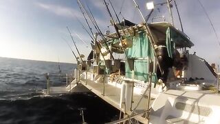 Восемнадцать дней под парусом вдоль побережья Мозамбика