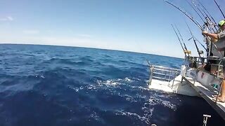 Восемнадцать дней под парусом вдоль побережья Мозамбика