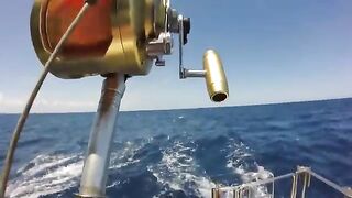 Восемнадцать дней под парусом вдоль побережья Мозамбика