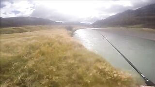 Крупная кумжа на реке Ахурири в новозеландском Маккензи