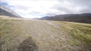 Крупная кумжа на реке Ахурири в новозеландском Маккензи