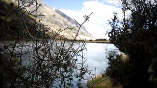 Крупная кумжа на реке Ахурири в новозеландском Маккензи
