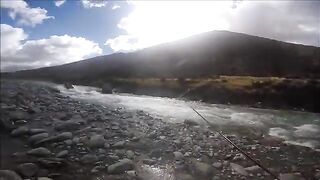 Крупная кумжа на реке Ахурири в новозеландском Маккензи