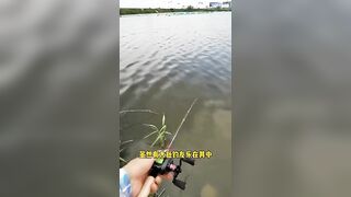 Вэйхай, Китай: два часа без поклевок и смена приманки на морском выезде
