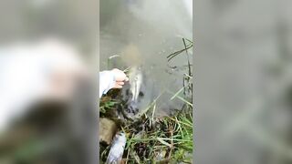 Вэйхай, Китай: два часа без поклевок и смена приманки на морском выезде