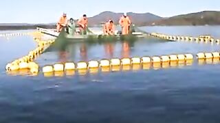Переборка ставного невода в Славянке: работа рыбацкой команды на воде