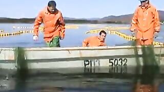 Переборка ставного невода в Славянке: работа рыбацкой команды на воде
