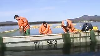 Переборка ставного невода в Славянке: работа рыбацкой команды на воде