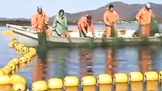 Переборка ставного невода в Славянке: работа рыбацкой команды на воде