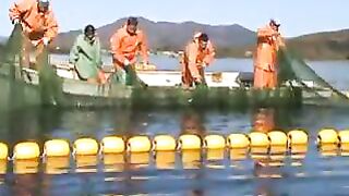 Переборка ставного невода в Славянке: работа рыбацкой команды на воде