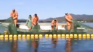 Переборка ставного невода в Славянке: работа рыбацкой команды на воде