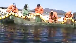 Переборка ставного невода в Славянке: работа рыбацкой команды на воде