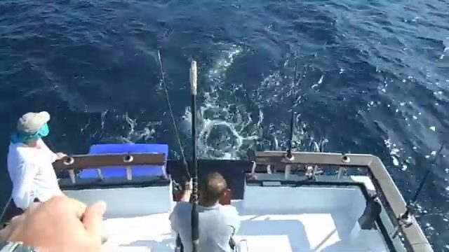 Троллинг у Пхукета: короткий эпизод морской рыбалки на тунца
