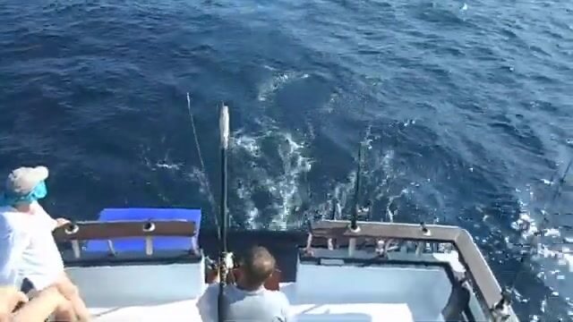 Троллинг у Пхукета: короткий эпизод морской рыбалки на тунца