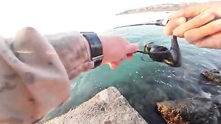 Сибас на первом забросе у скал Синопа