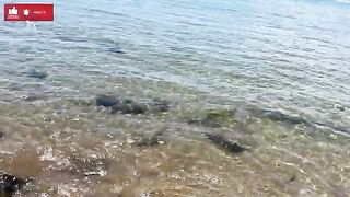 Апрельская разведка берега и легкий спиннинг в Кызкалеси
