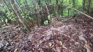 Дождь над лесным лагерем и рыбалка на ручье в Суринаме