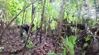 Дождь над лесным лагерем и рыбалка на ручье в Суринаме