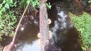 Дождь над лесным лагерем и рыбалка на ручье в Суринаме