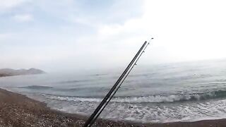 Вместо сибаса иглобрюх: декабрьский день у Олимпоса