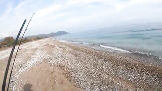 Вместо сибаса иглобрюх: декабрьский день у Олимпоса