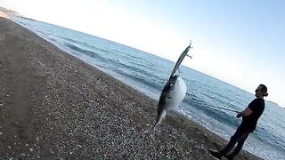 Вместо сибаса иглобрюх: декабрьский день у Олимпоса