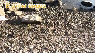 Семейное утро с удочками у пирса в хорватской Пуле