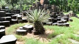 На пляже Туихоа: разговор с рыбаком и прогулка у моря