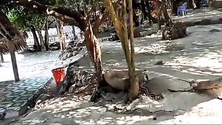 Купание у кораллов и морская рыбалка на полуострове Шонча