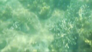 Купание у кораллов и морская рыбалка на полуострове Шонча