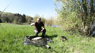 Апрельские карпы и холодная ночь на Сливнишком озере