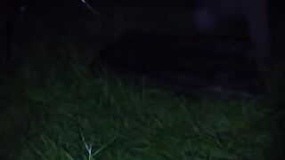 Апрельские карпы и холодная ночь на Сливнишком озере