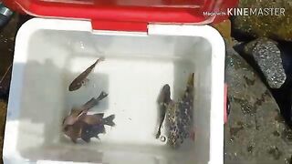 Рыбалка с друзьями на каменистом берегу Байдай у Камрани