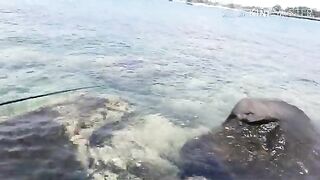 Рыбалка с друзьями на каменистом берегу Байдай у Камрани