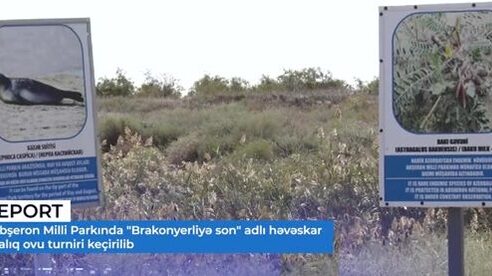 Любительский рыболовный турнир на Апшероне: соревнования на Каспии и разговор о защите рыбы