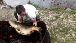 Два крупных карпа за два часа на Барановском озере в Сочи