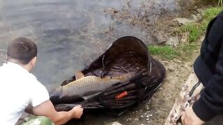 Два крупных карпа за два часа на Барановском озере в Сочи