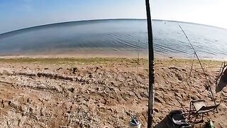 Азовское море на рассвете: ждем пеленгаса и ловим небольшую кефаль