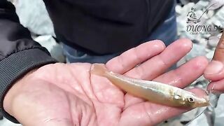 Три удочки на каменистом берегу Туихоа и почти семьдесят рыб