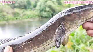 Возвращение на водоемы Байчая за змееголовом